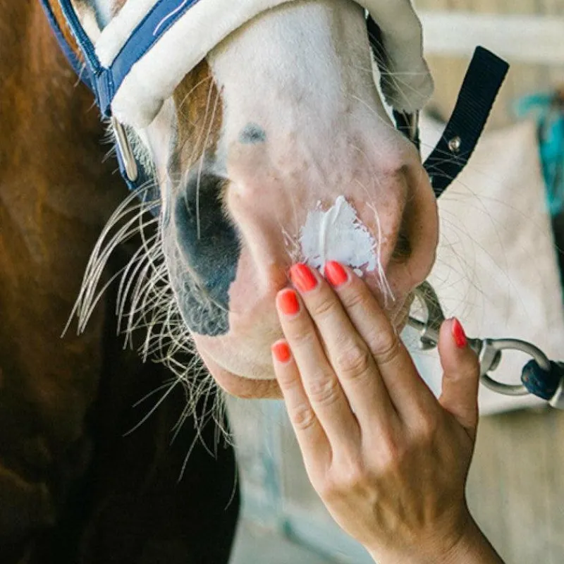 Protection Solaire|Anti-Démangeaisons*Ravene - Crème solaire Sun Protec