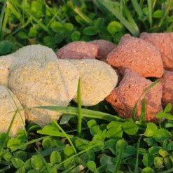 Friandises Pour Chevaux*Ravene - Friandises pour chevaux Happy Treats Duo Pomme / Fruits Sauvages