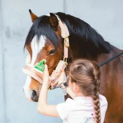 Sale - Gel anti-mouches embout applicateur Emouchine Protec Gels Anti-Mouches