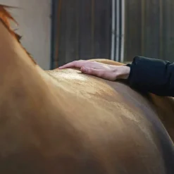 Baumes Et Gels Décontractants*Ravene - Gel de massage décontractant et apaisant Kinesyl