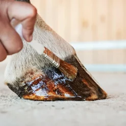 Hot - Huile pour sabots hydratante Pediflex Huiles Pour Sabots