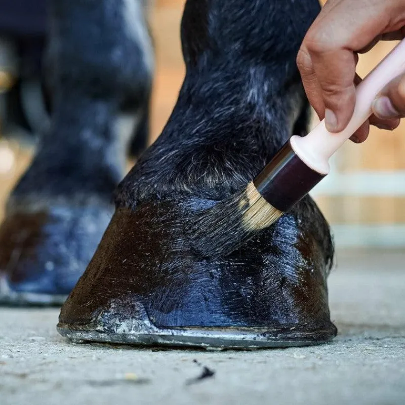 Best - Onguent pour sabots Pedigard noir Onguents Noirs
