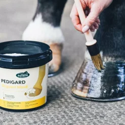 Best - Onguent pour sabots Pedigard blond Onguents Sabots Secs|Onguents Incolores