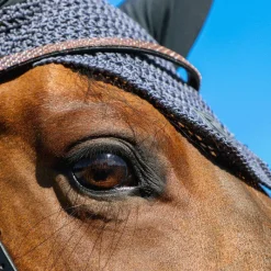 Cso|Bonnets Pour Chevaux*RG Italy - Bonnet court crochet gris