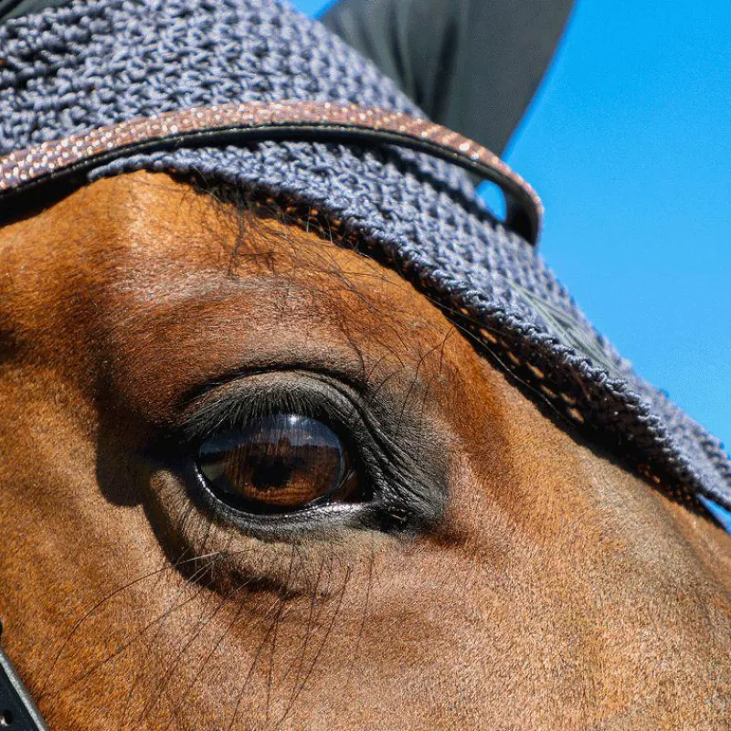 Cso|Bonnets Pour Chevaux*RG Italy - Bonnet court crochet gris