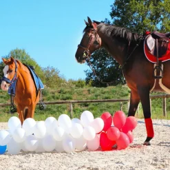 Amortisseurs*Riding World - Amortisseur Rouge