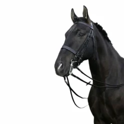 Outlet - Bride de dressage e avec rênes Brides
