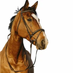 Hot - Bridon muserolle combinée double avec rênes Bridons Poneys|Bridons