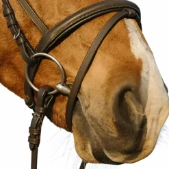 Hot - Bridon muserolle combinée double avec rênes Bridons Poneys|Bridons