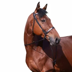 Cso|Bridons Poneys*Riding World - Bridon muserolle française avec rênes Noir