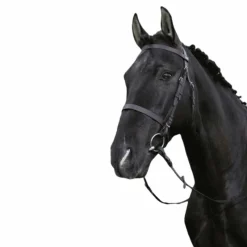 Cso|Bridons Poneys*Riding World - Bridon muserolle française avec rênes Noir