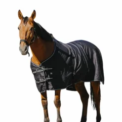 Couvertures Poneys|Couvertures Et Chemises*Riding World - Chemise brillante 0g Noir