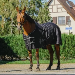 Couvertures Poneys|Couvertures Et Chemises*Riding World - Chemise brillante 0g Noir
