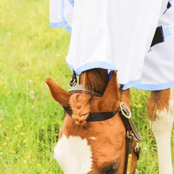 Sale - Chemise filet Combo Couvertures Et Chemises