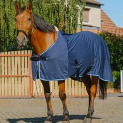 - Chemise maille fine Couvertures Poneys|Couvertures Et Chemises