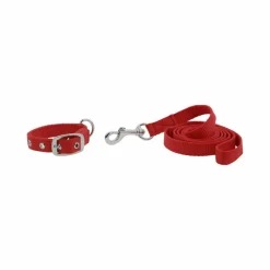 Outlet - Collier et laisse pour chien Oscar Colliers