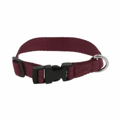 New - Collier pour chien Pat Colliers