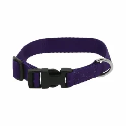 Colliers*Riding World - Collier pour chien Pat Violet