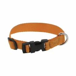 Colliers*Riding World - Collier pour chien Pat Orange