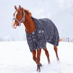 Couvertures Et Chemises*Riding World - Couverture imperméable oxford 0g Noir