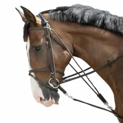 Enrênements Poneys|Gogues*Riding World - Gogue à poulies