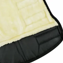 Guêtres De Transport|Guêtres De Transport*Riding World - Guêtres de transport basses noir x4