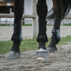 Guêtres Ouvertes Poneys|Guêtres Ouvertes*Riding World - Guêtres protège-tendons foncé x2 Vert