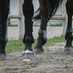 Discount - Guêtres protège-tendons x2 Guêtres Ouvertes Poneys|Guêtres Ouvertes