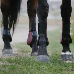 Guêtres Ouvertes Poneys|Guêtres Ouvertes*Riding World - Guêtres protège-tendons x2 Bordeaux