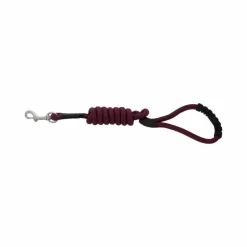 New - Laisse pour chien avec poignée Lucky Laisses