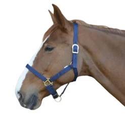 Licols En Nylon*Riding World - Licol en nylon marine