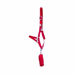 Online - Licol et longe Club fuchsia Licols Poneys|Ensembles Licols Et Longes