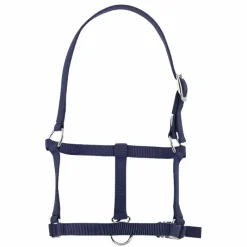 Licols Foals*Riding World - Licol foal Marine