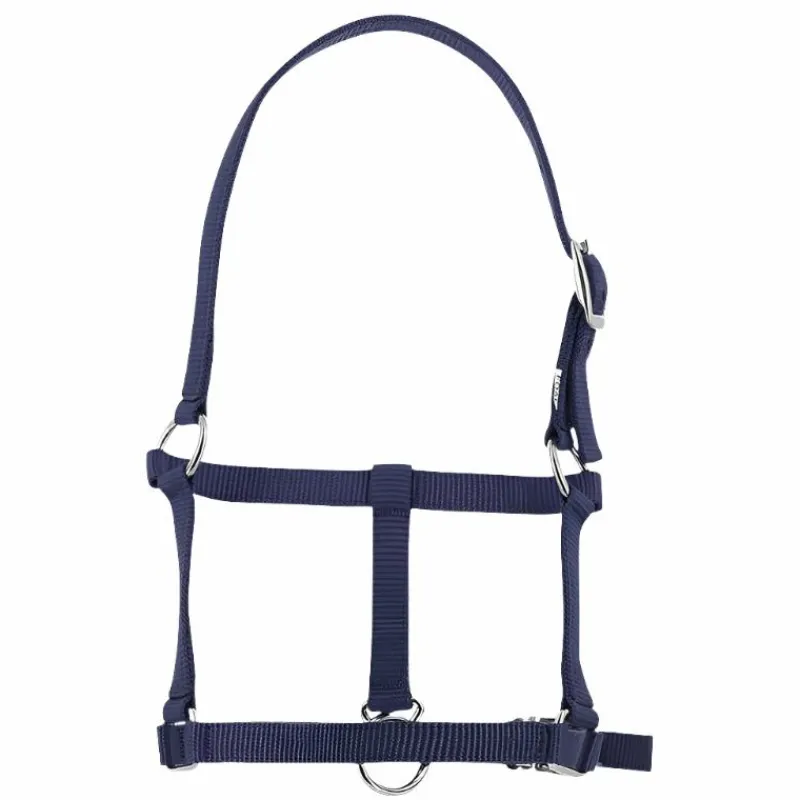 Licols Foals*Riding World - Licol foal Marine