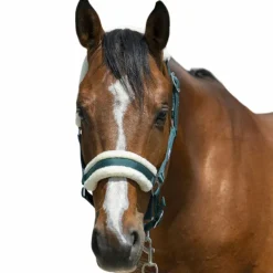 Licols Poneys*Riding World - Licol mouton synthétique foncé Vert