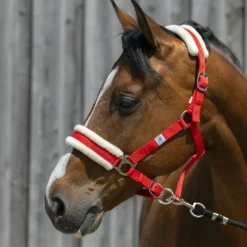 Licols Poneys*Riding World - Licol mouton synthétique Rouge