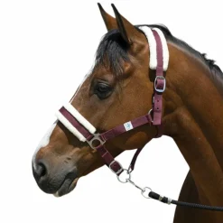 Sale - Licol mouton synthétique Licols Poneys