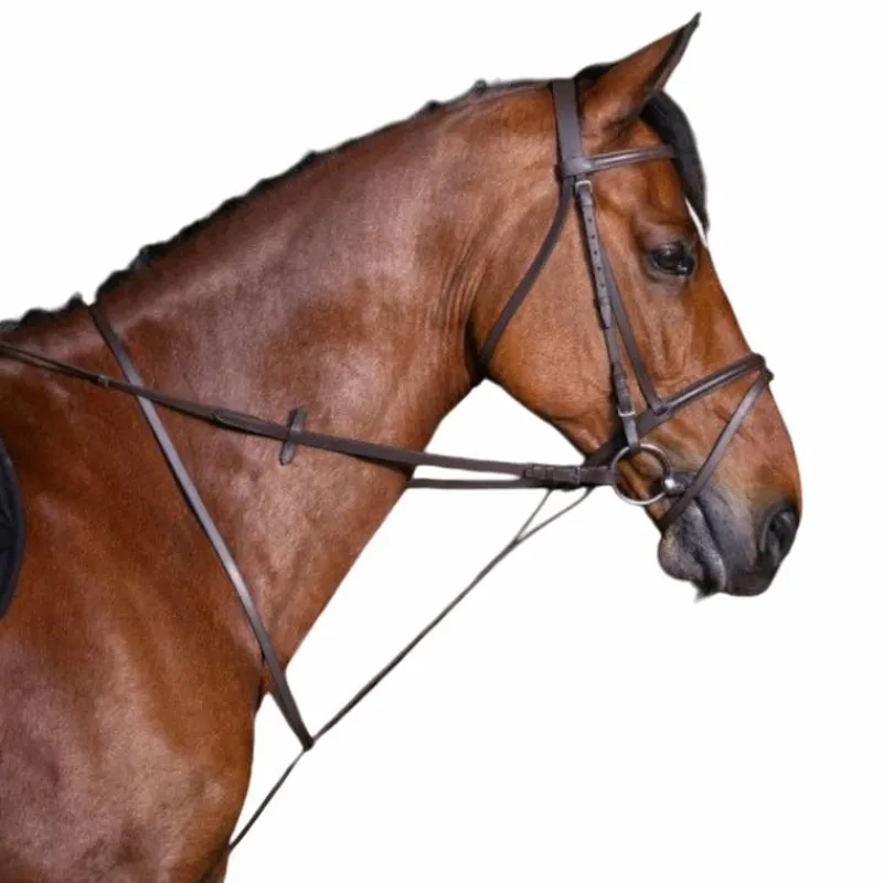 Concours Complet D'Equitation|Martingales*Riding World - Martingale à anneaux Havane
