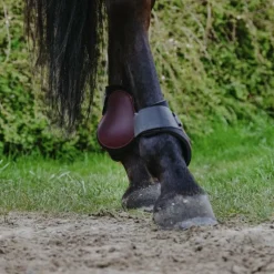 Protège-Boulets*Riding World - Protège-boulets Bordeaux