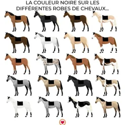 Tapis De Selle|Tapis De Dressage*Riding World - Tapis de selle dressage Rope Noir