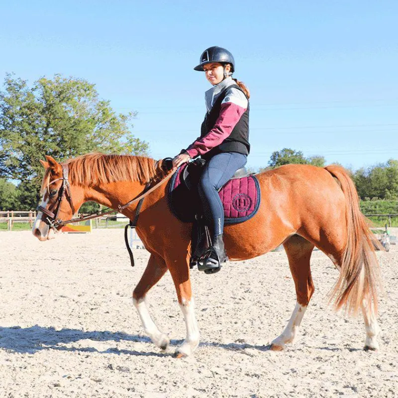 Gilets Airbag|Airbags Seaver*Seaver - Gilet airbag SAFEFIT Noir