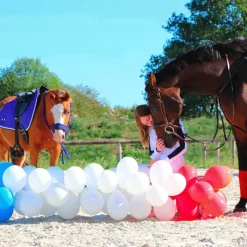 Best - Collier de chasse ébène argent Colliers De Chasse