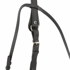 - Martingale à anneaux e Martingales