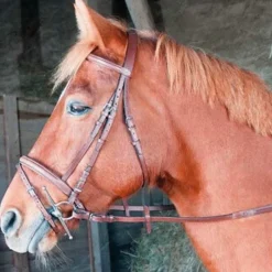 Hot -  Bridon avec rênes Sisley muserolle combinée tabac Bridons Poneys|Bridons