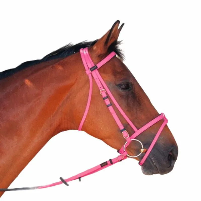 Bridons Poneys|Bridons*TdeT - Bridon Biotack® rose