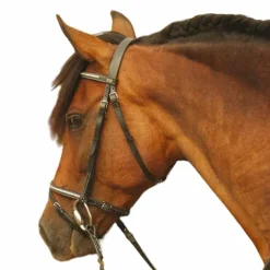 Bridons Poneys|Bridons*TdeT - Bridon et rênes Clincher Goya noir