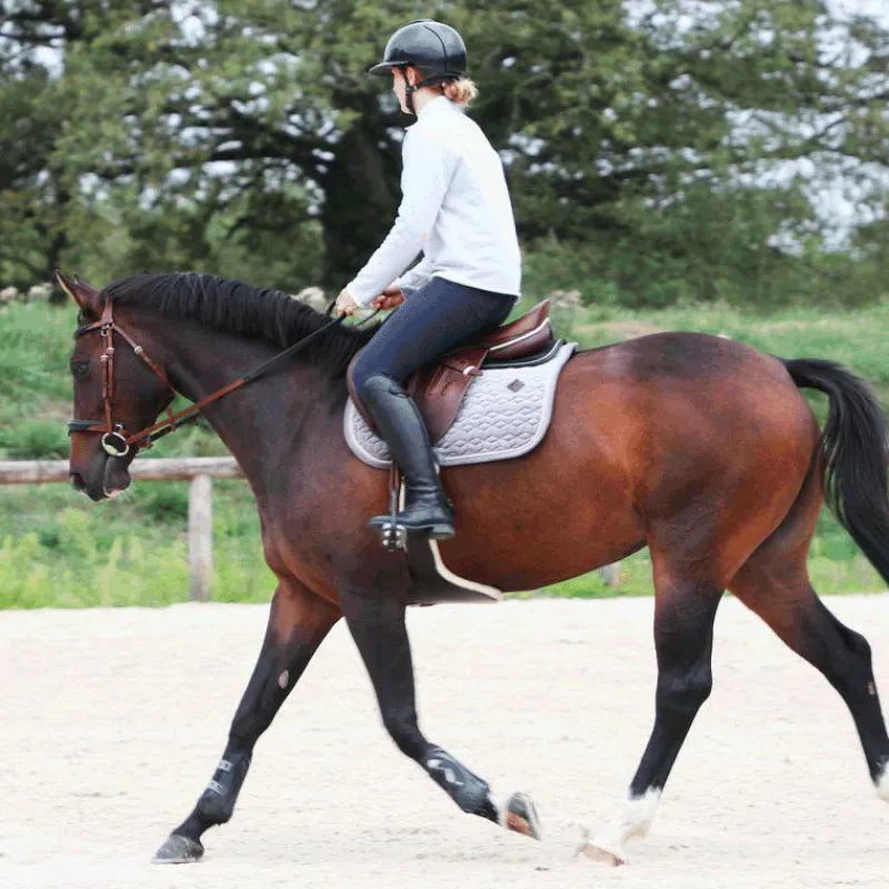 Outlet - Bridon et rênes Lautrec tabac/noir Bridons Poneys|Bridons