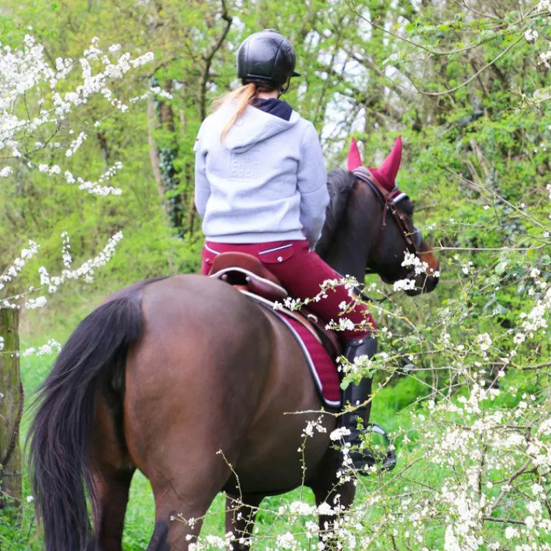 Outlet - Bridon et rênes Lautrec tabac/noir Bridons Poneys|Bridons