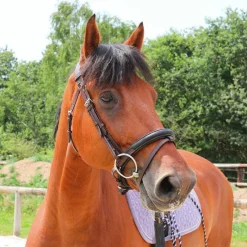 Cso|Bridons Poneys*TdeT - Bridon et rênes Lautrec havane foncé/noir