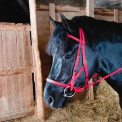 Bridons*TdeT - Bridon/licol biotack Rouge